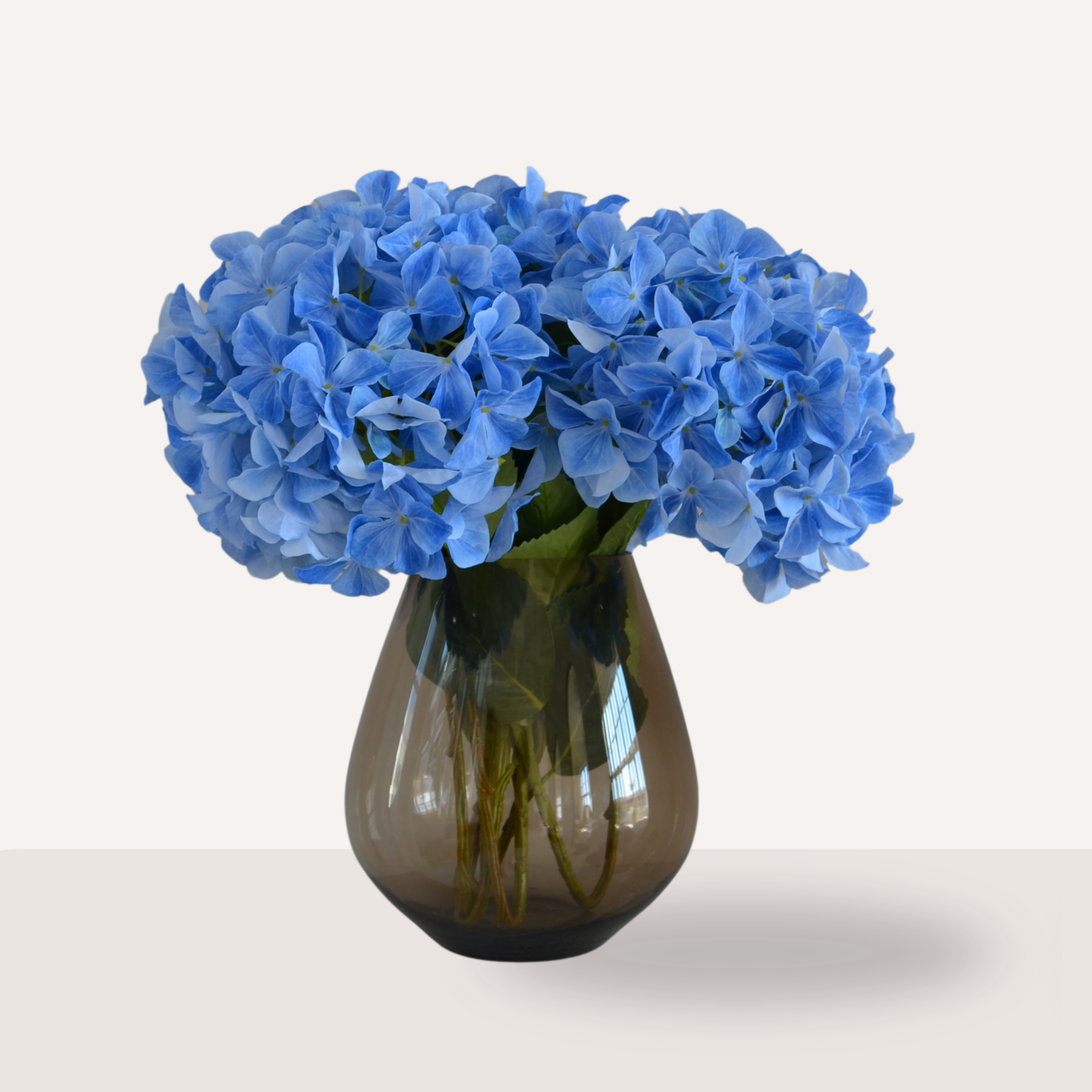 Retail Therapy - Hortensia blauw