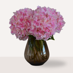 Retail Therapy - Hortensia roze