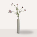 Cosmos roze