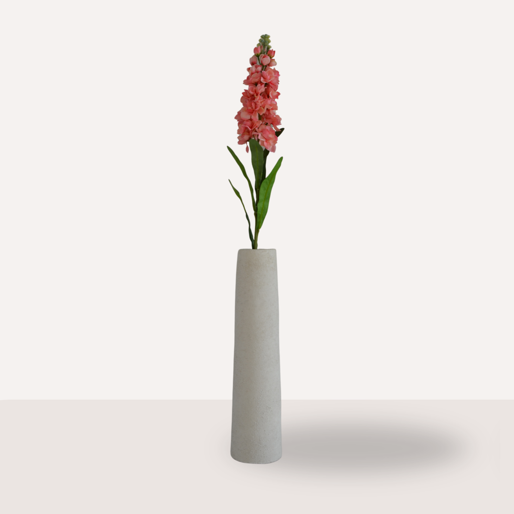 Matthiola koraal