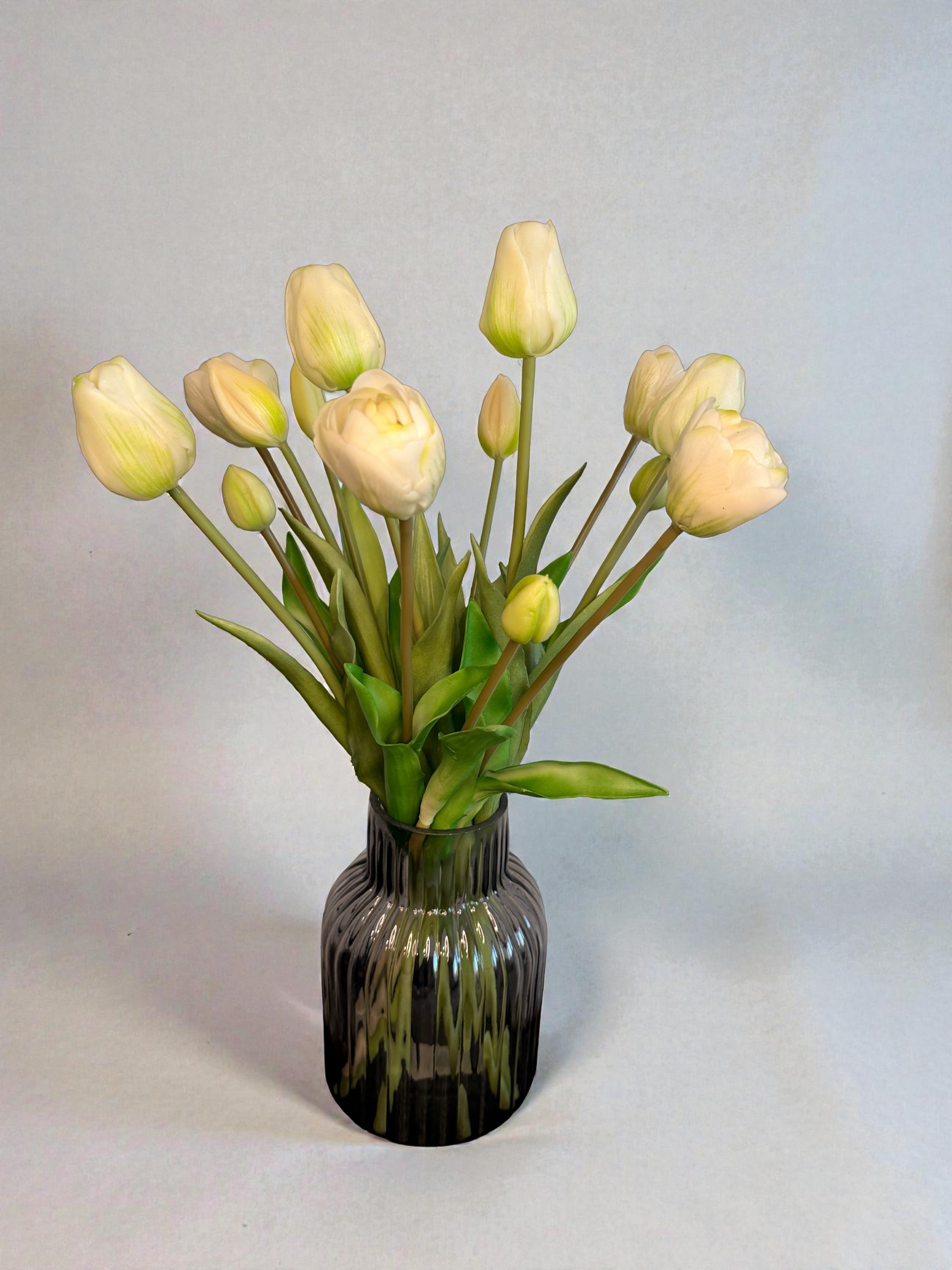 Tulpen uit Amsterdam - Wit