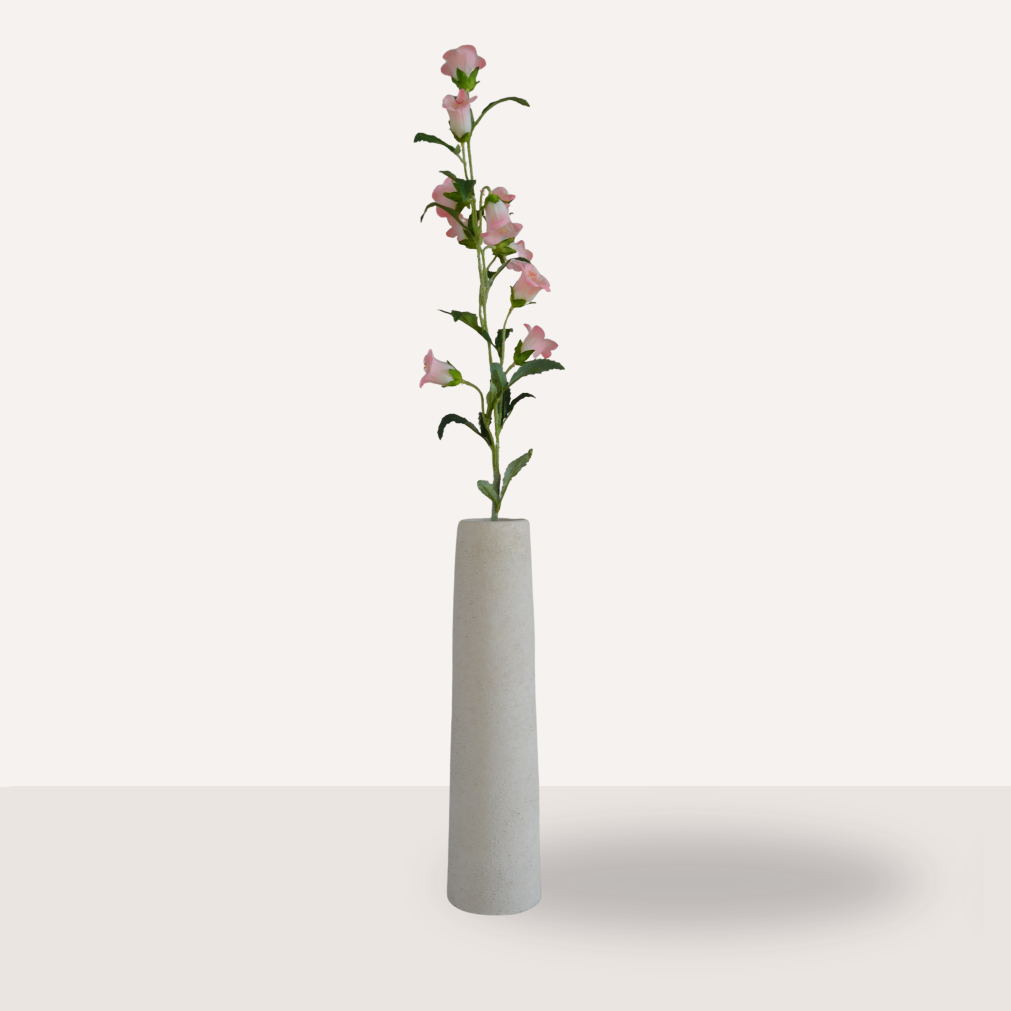 Campanula roze