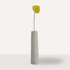 Poppy geel