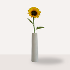 Zonnebloem