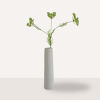 Wilde peen groen