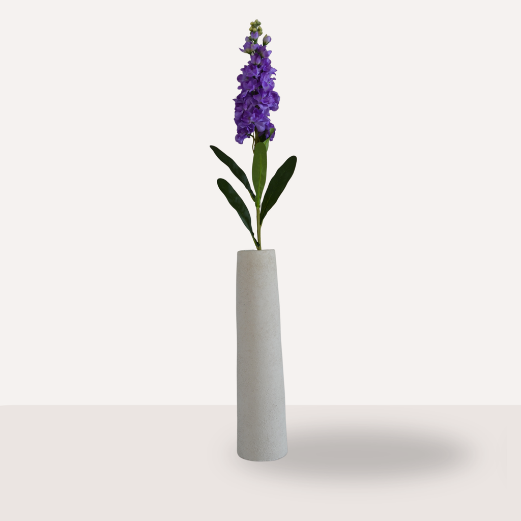 Matthiola paars