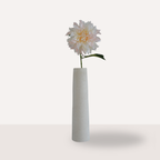 Dahlia lichtroze créme