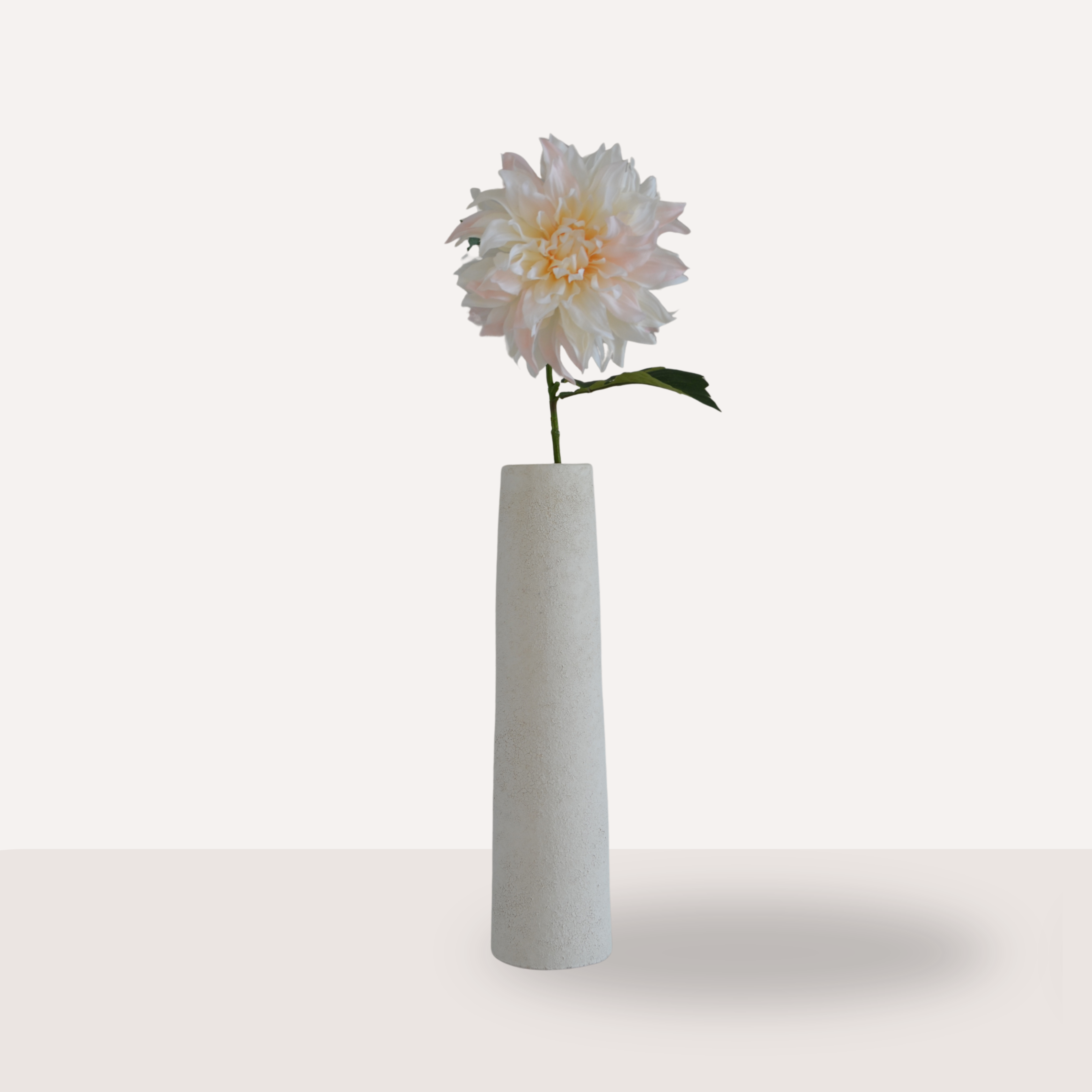 Dahlia lichtroze créme