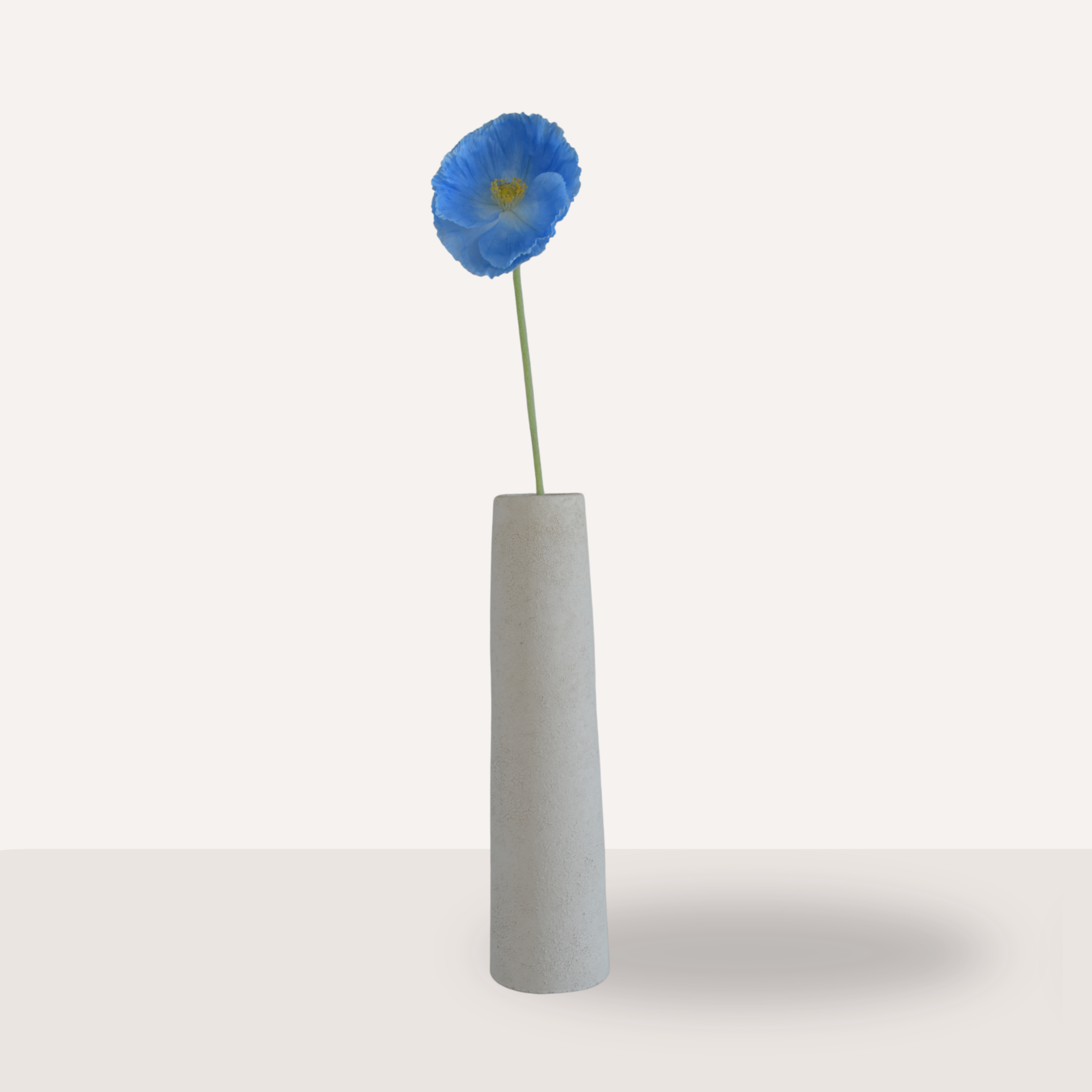 Poppy Blauw