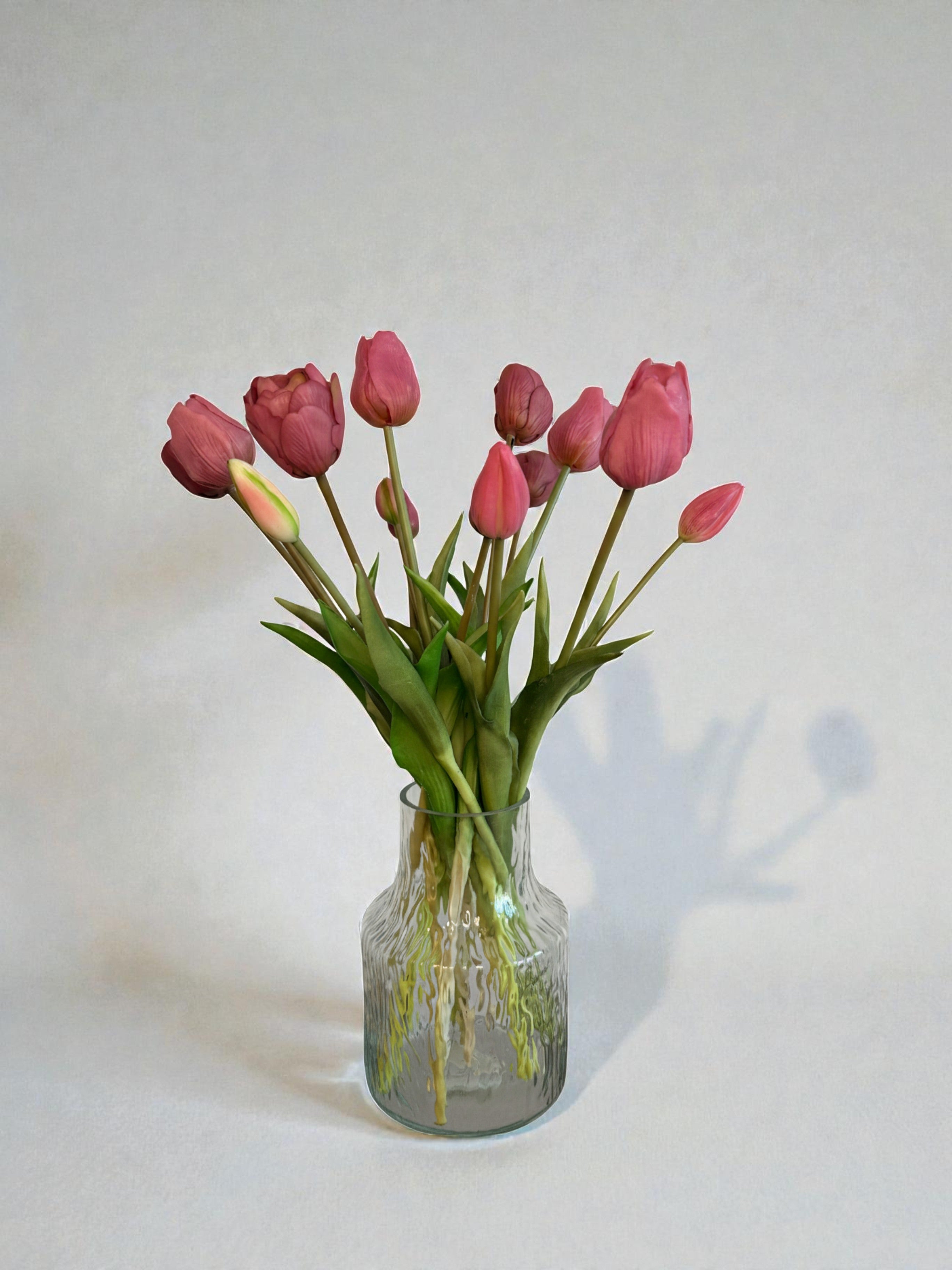 Tulpen uit Amsterdam - Paars