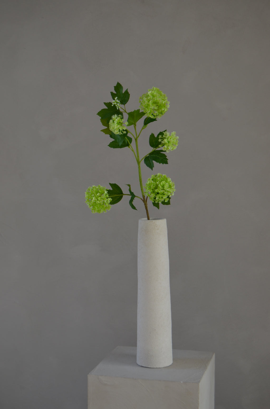 Sneeuwbal