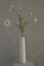 Cosmos roze