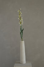 Fritillaria