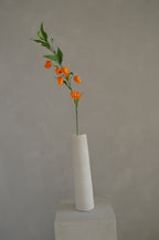 Sandersonia