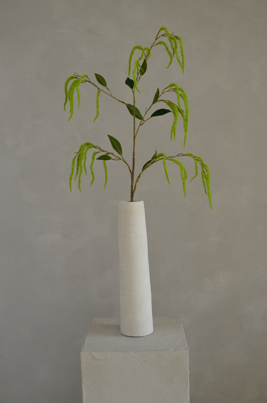 Amaranthus