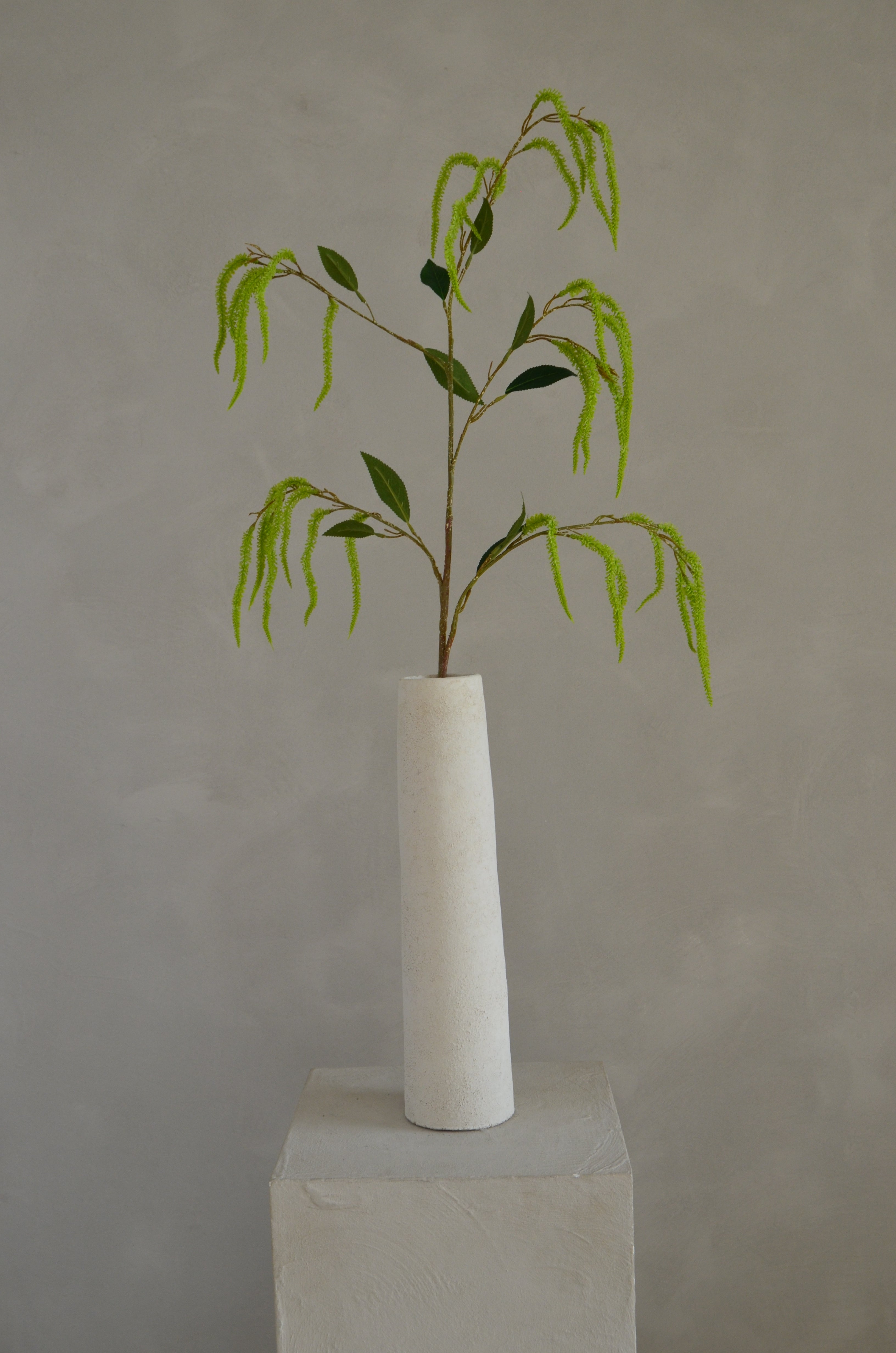 Amaranthus