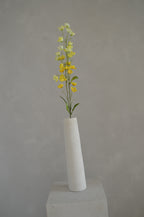 Buttercup geel