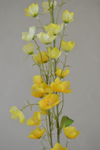 Buttercup geel