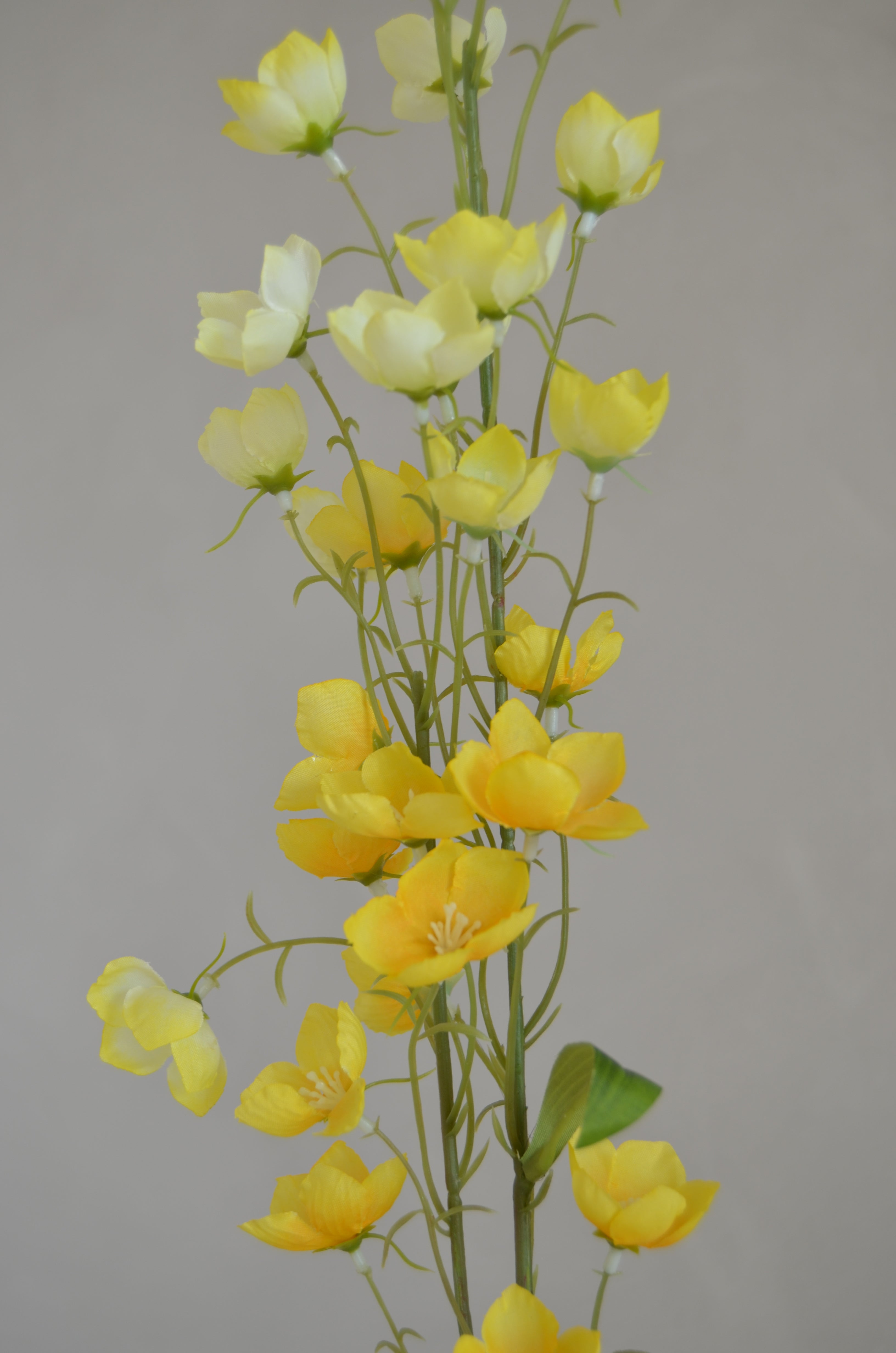 Buttercup geel