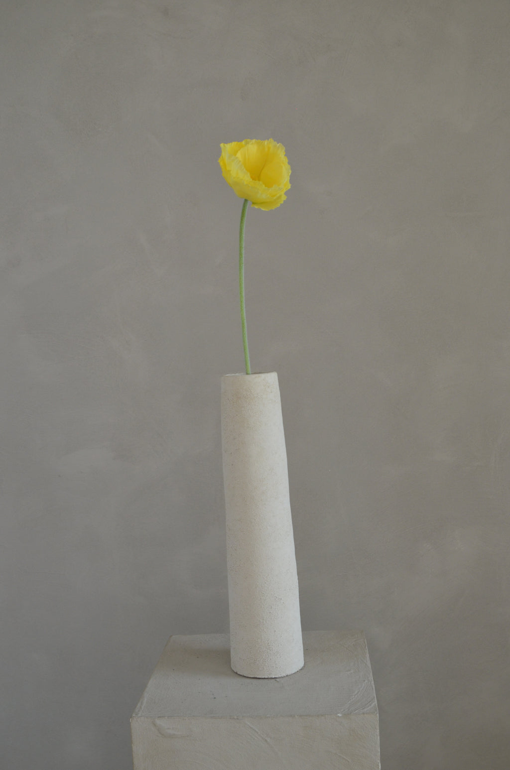 Poppy geel