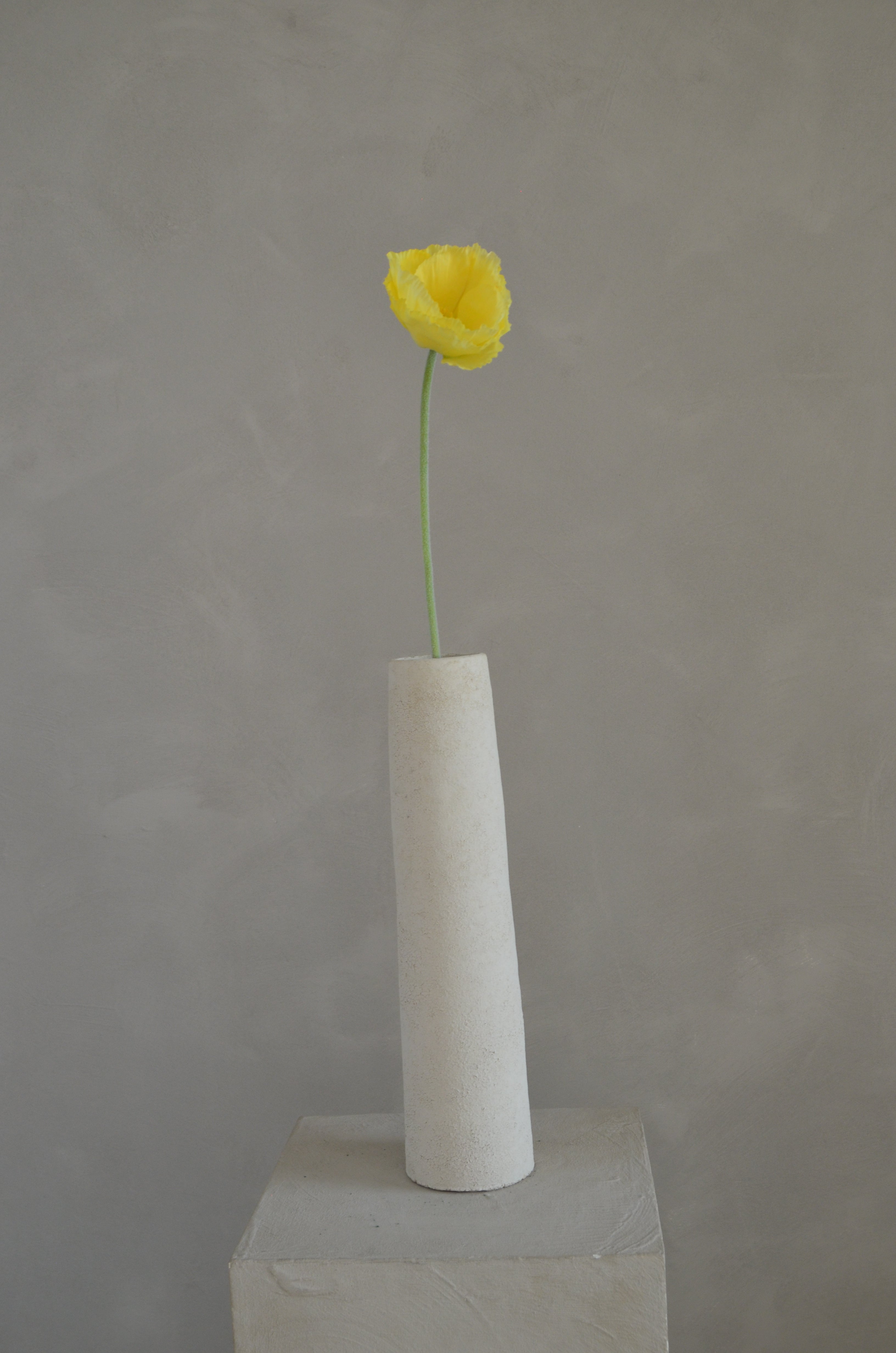 Poppy geel