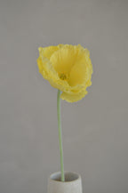 Poppy geel