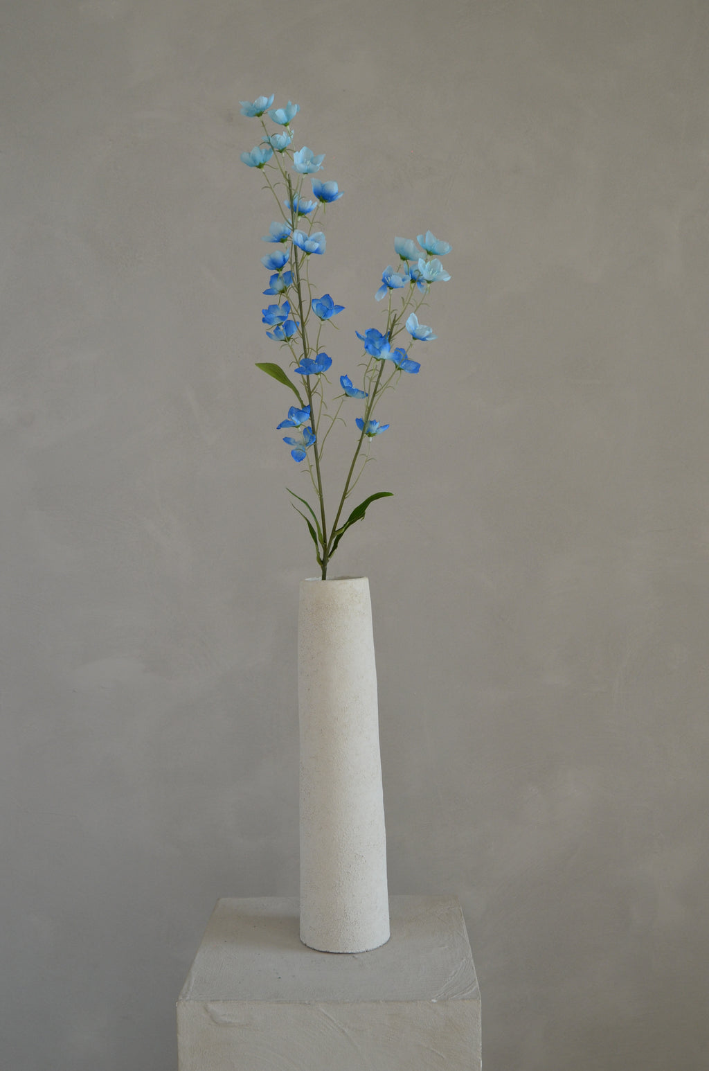 Buttercup blauw