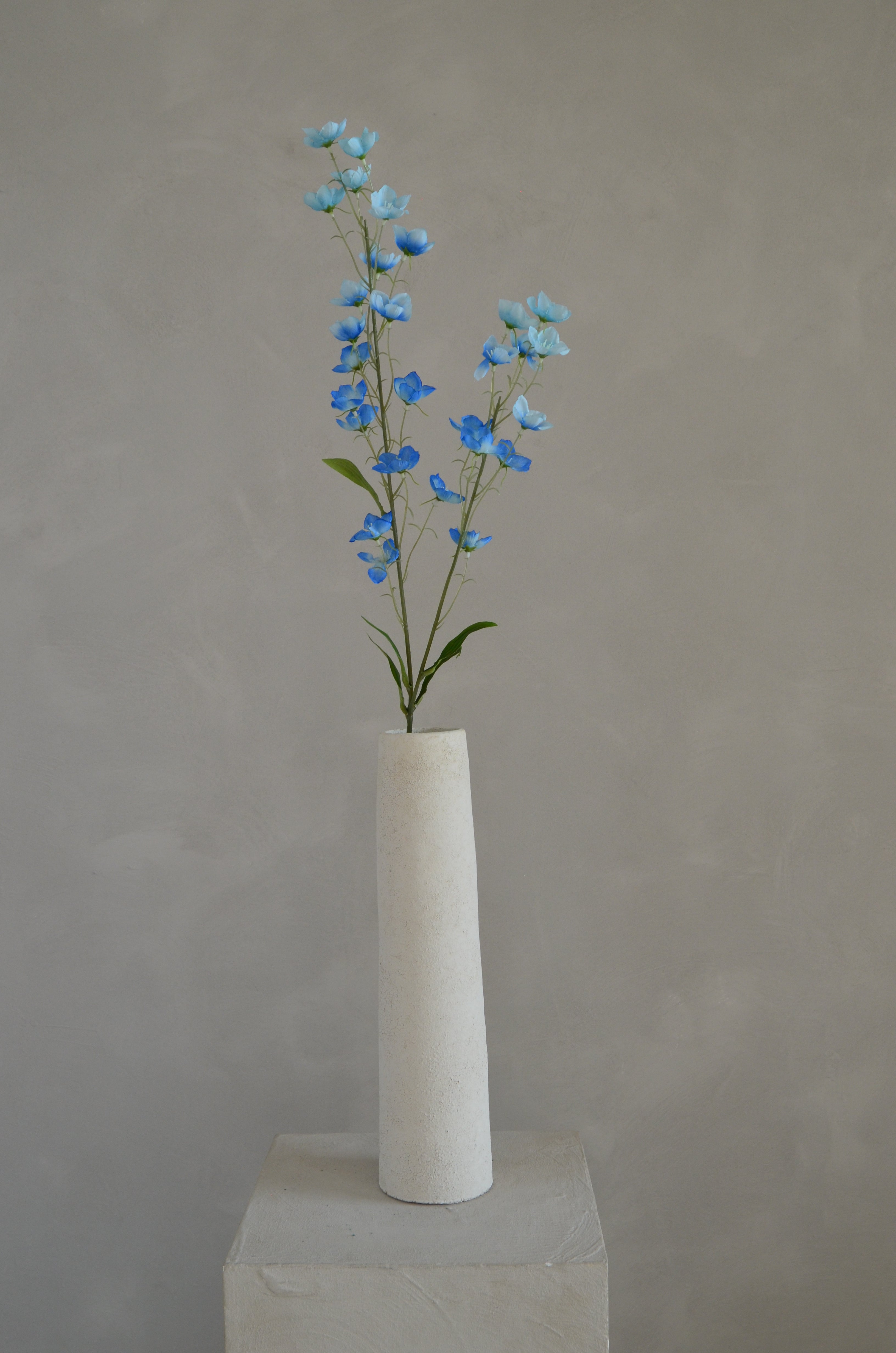 Buttercup blauw