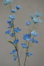 Buttercup blauw