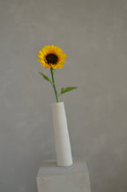 Zonnebloem