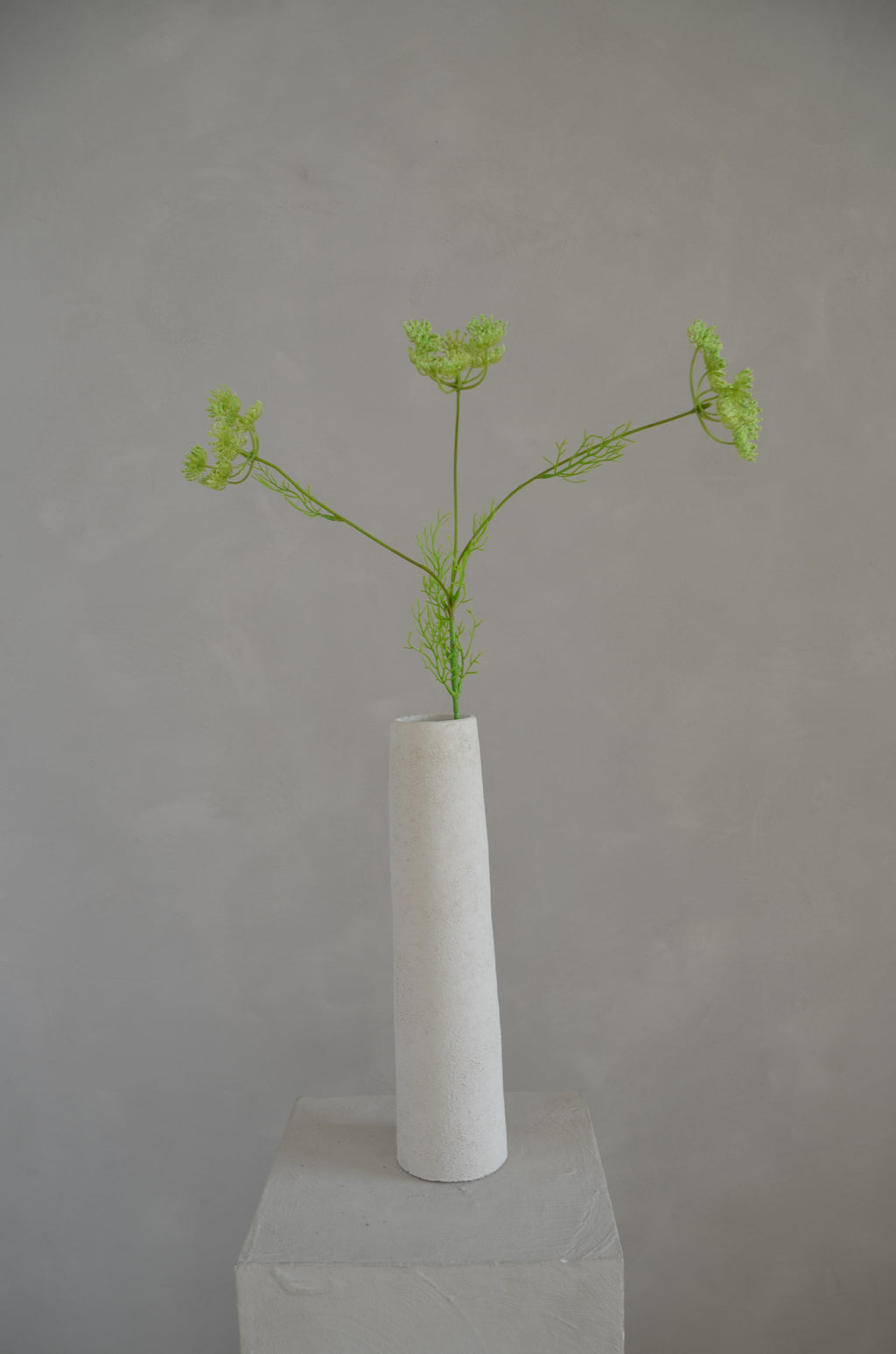 Wilde peen groen