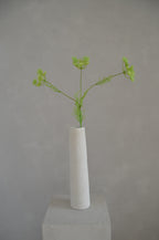 Wilde peen groen
