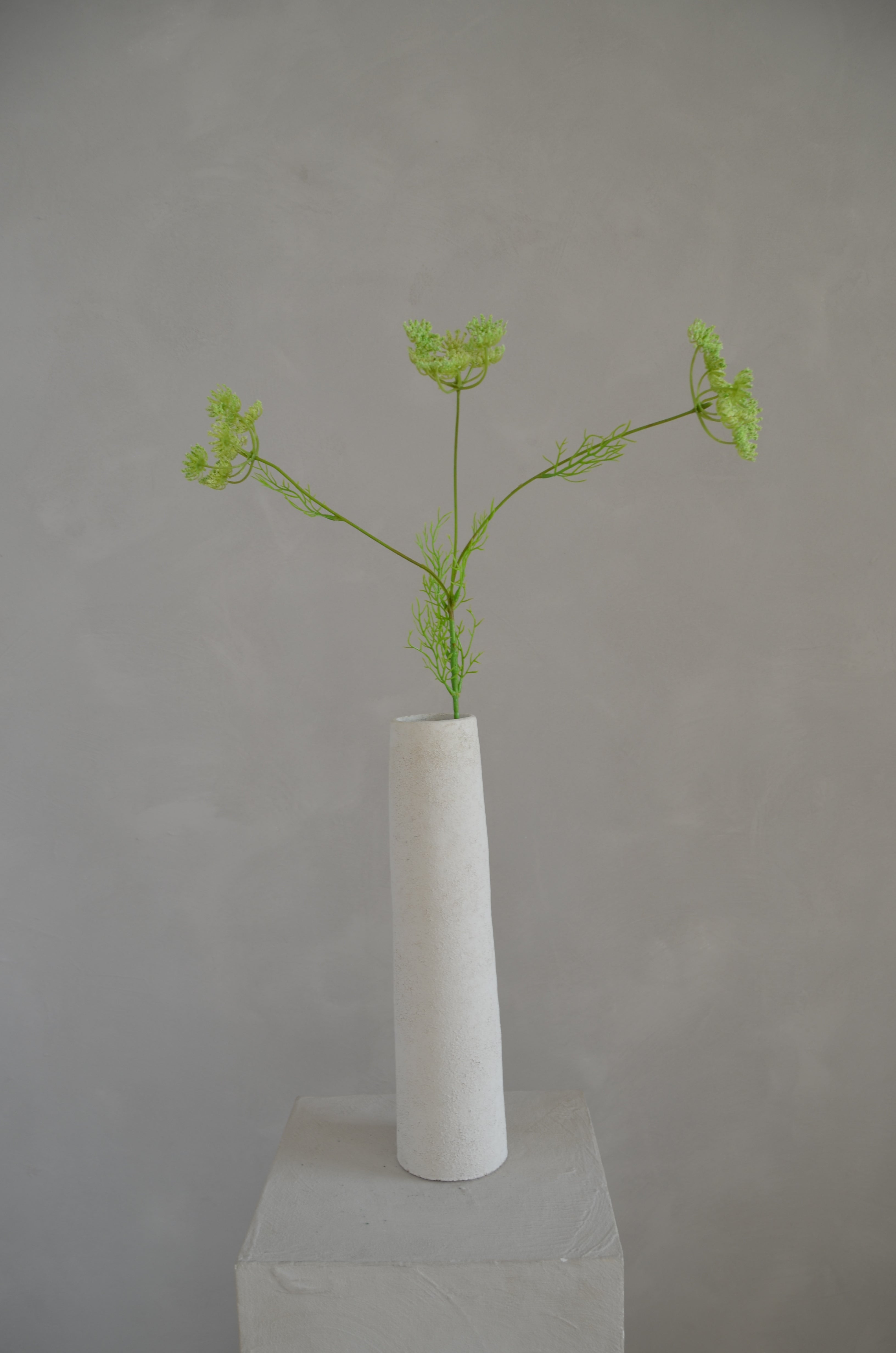 Wilde peen groen