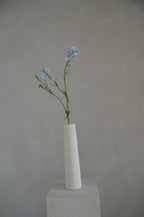 Larkspur lichtblauw
