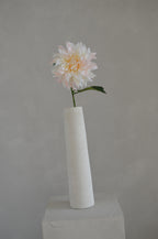 Dahlia lichtroze créme
