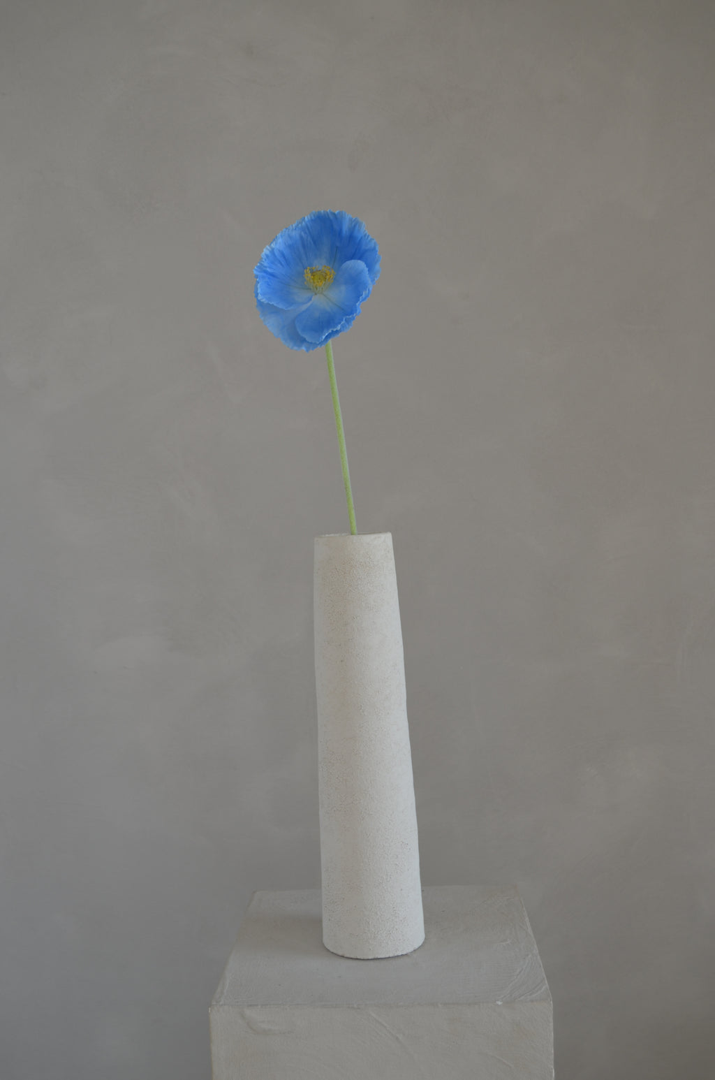 Poppy Blauw