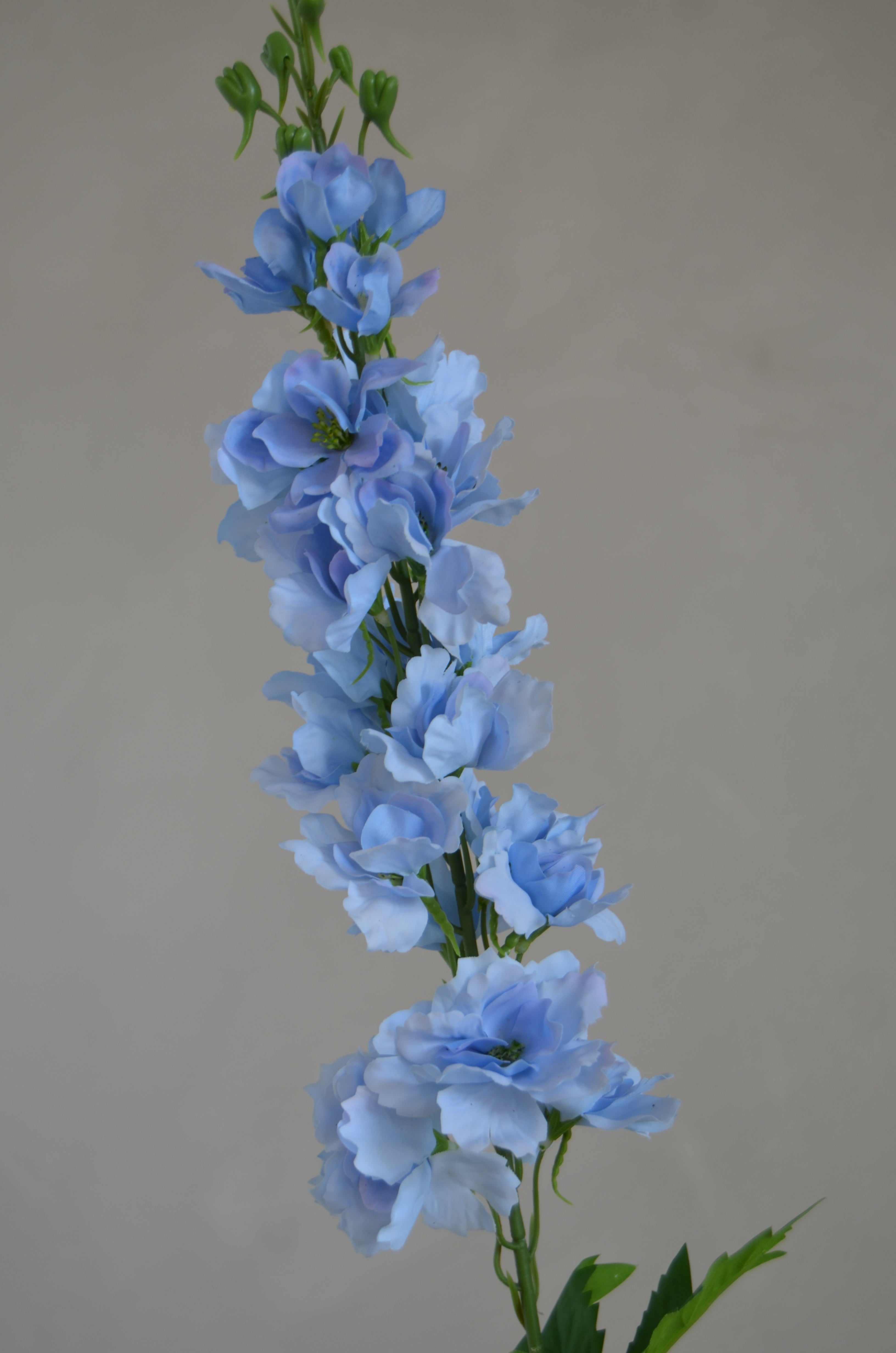 Delphinium Real Touch lichtblauw