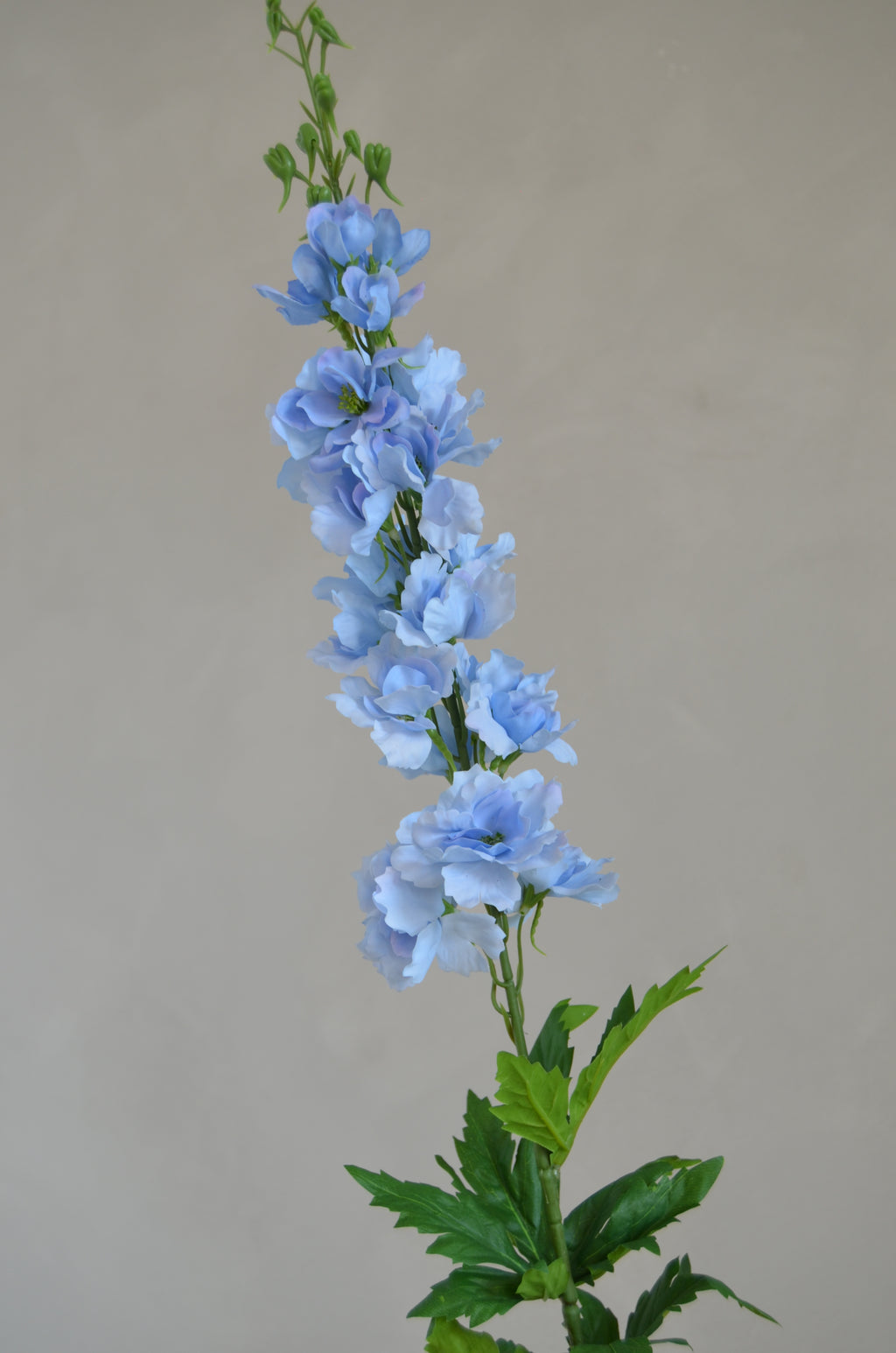 Delphinium Real Touch lichtblauw