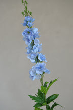 Delphinium Real Touch lichtblauw