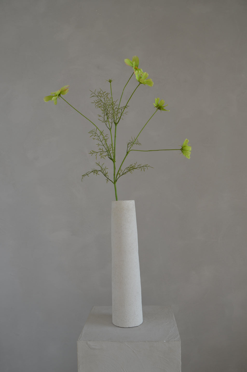 Cosmos groen