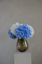 Retail Therapy - Hortensia blauw