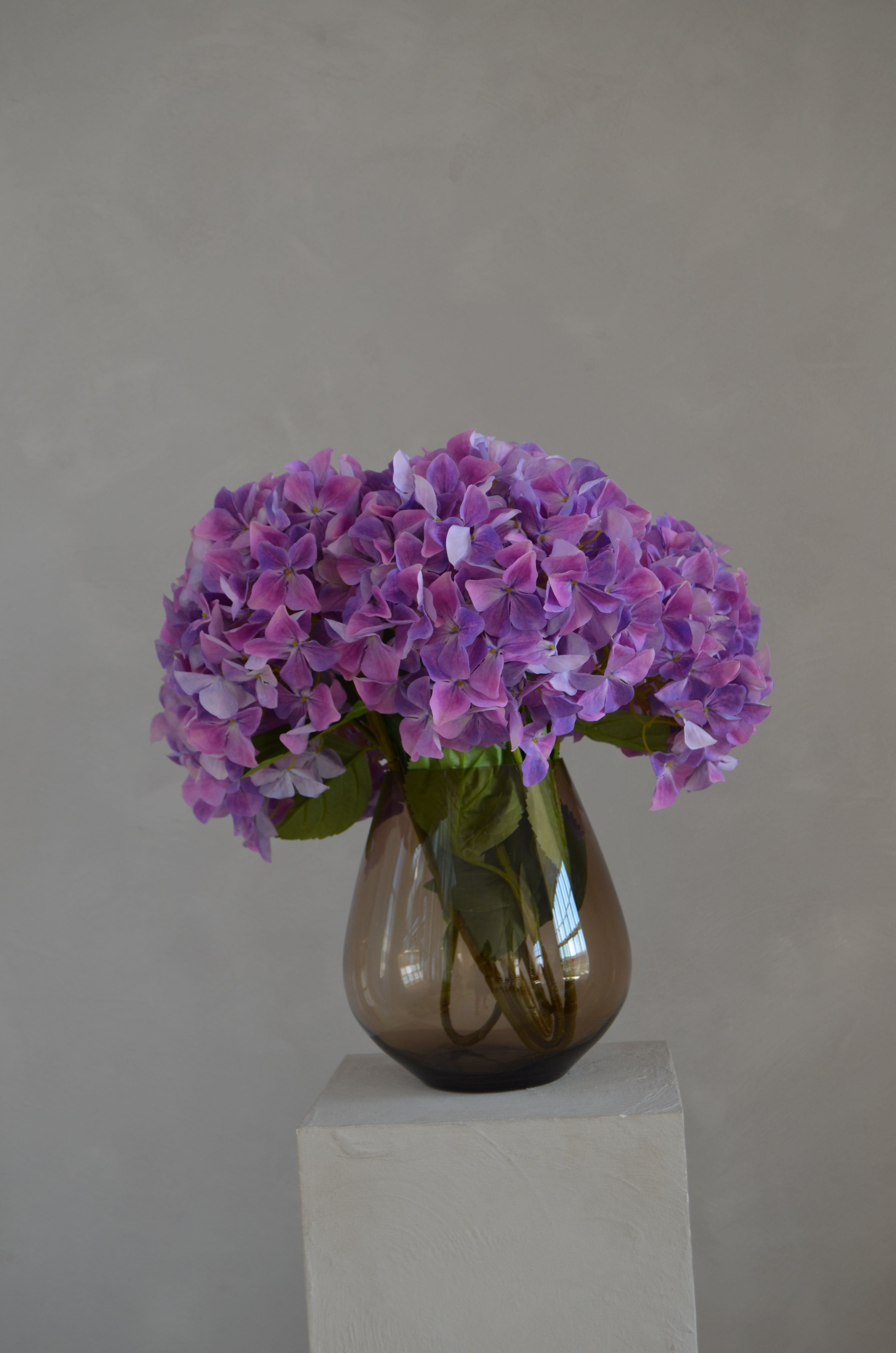 Retail Therapy - Hortensia paars