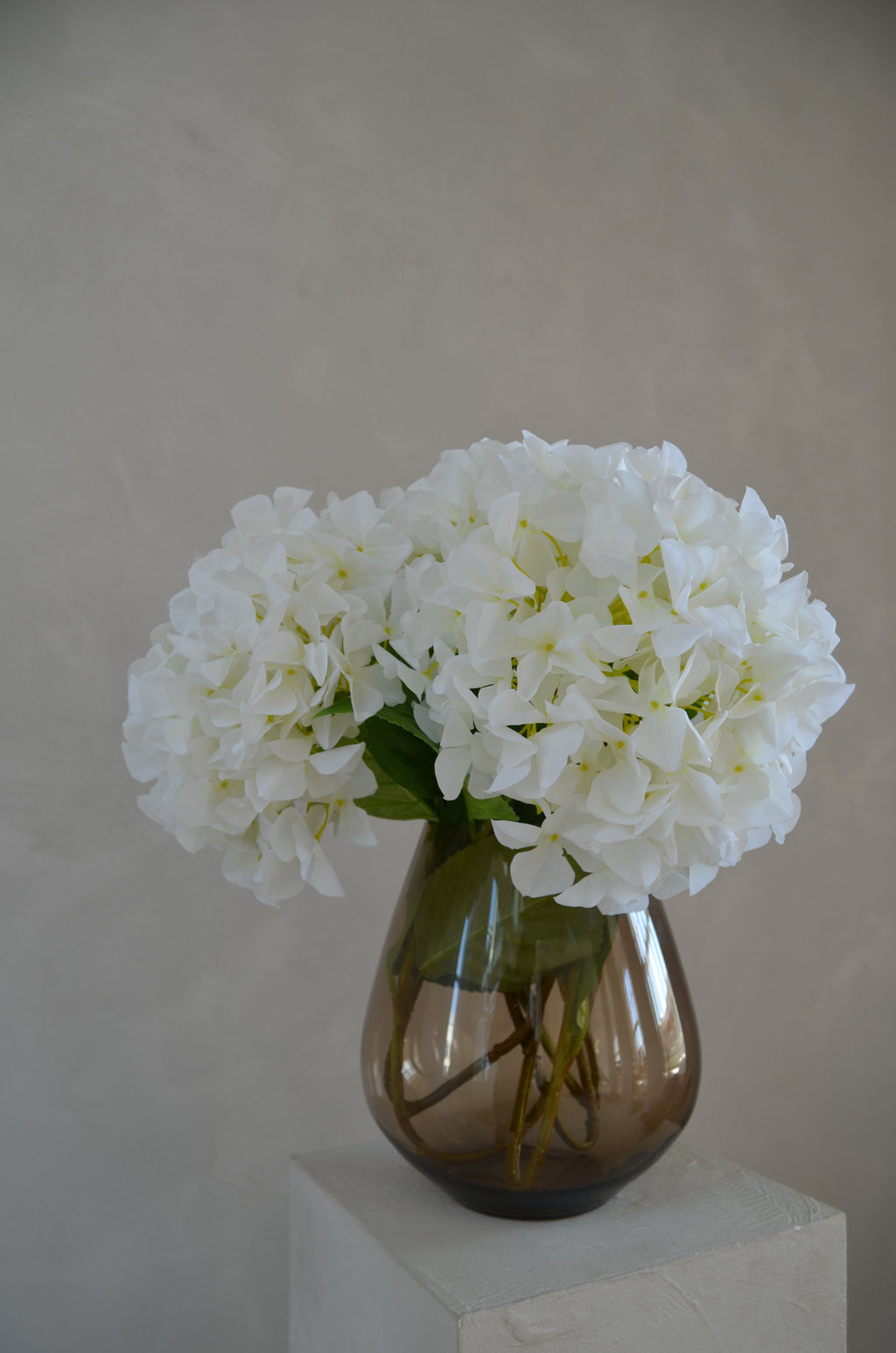 Retail Therapy - Hortensia wit