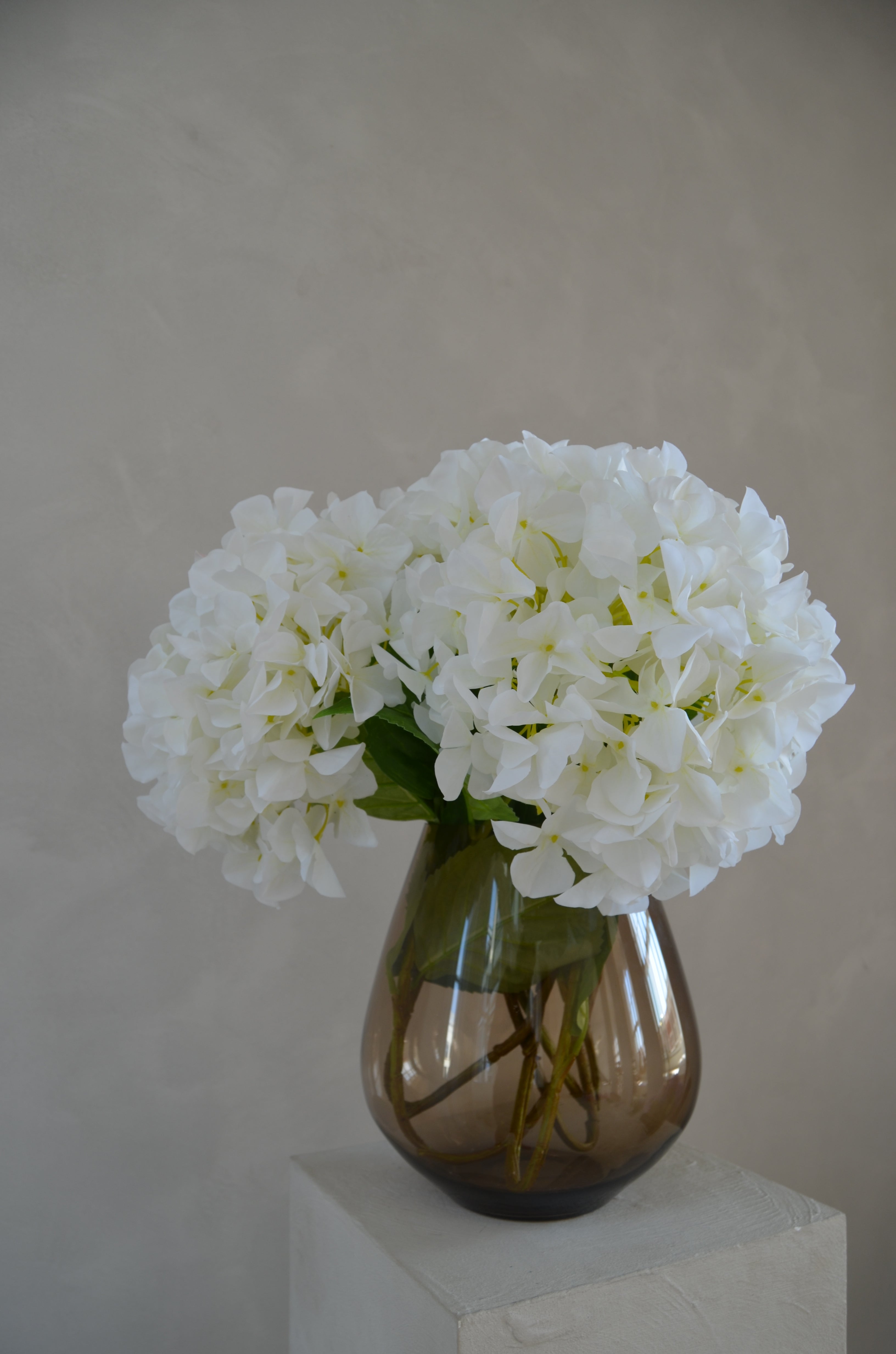 Retail Therapy - Hortensia wit