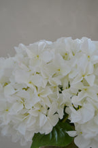 Retail Therapy - Hortensia wit