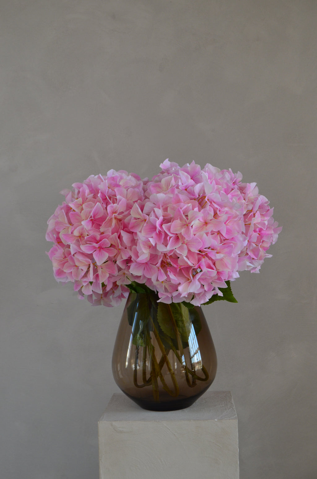Retail Therapy - Hortensia roze