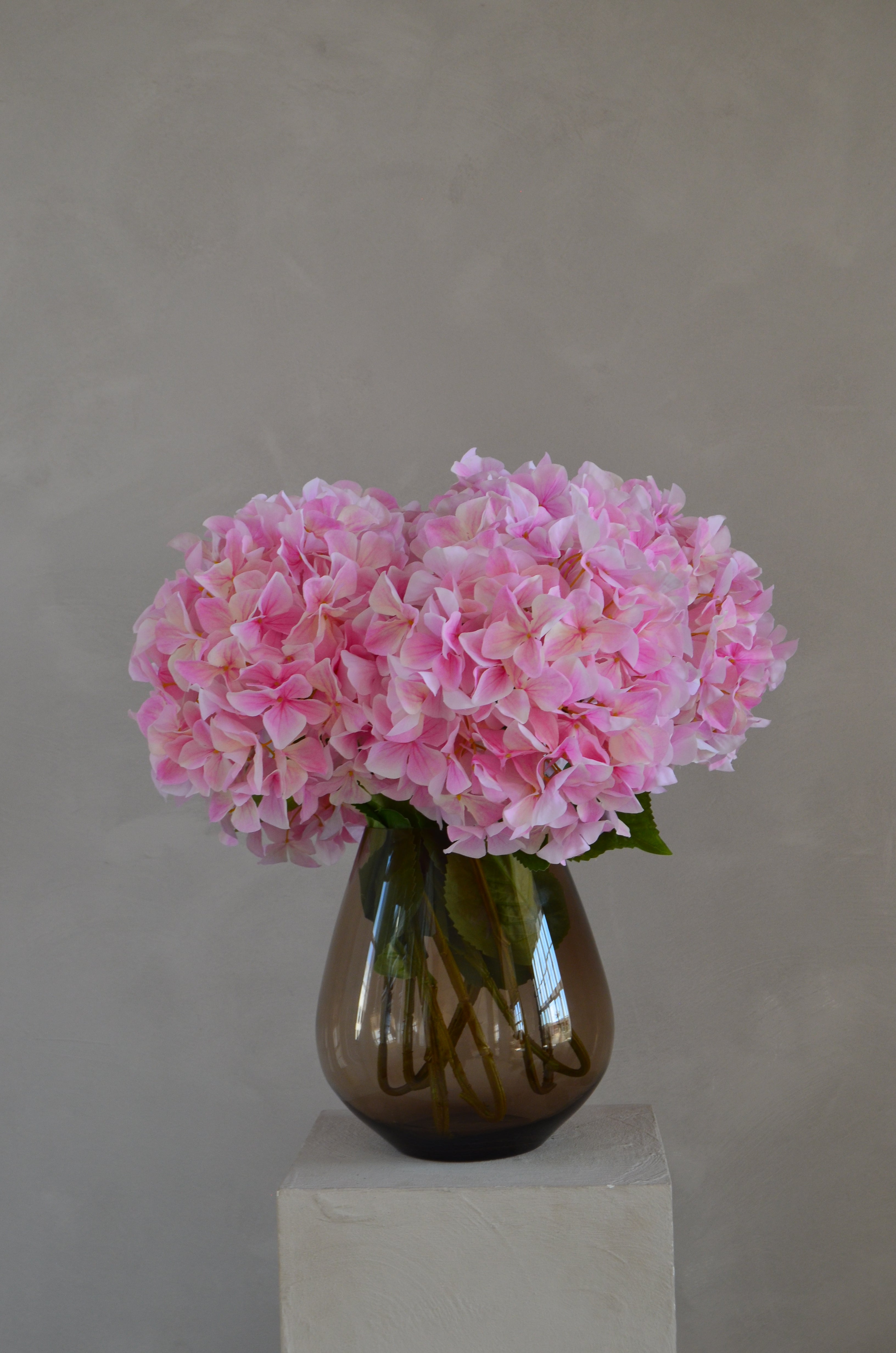 Retail Therapy - Hortensia roze