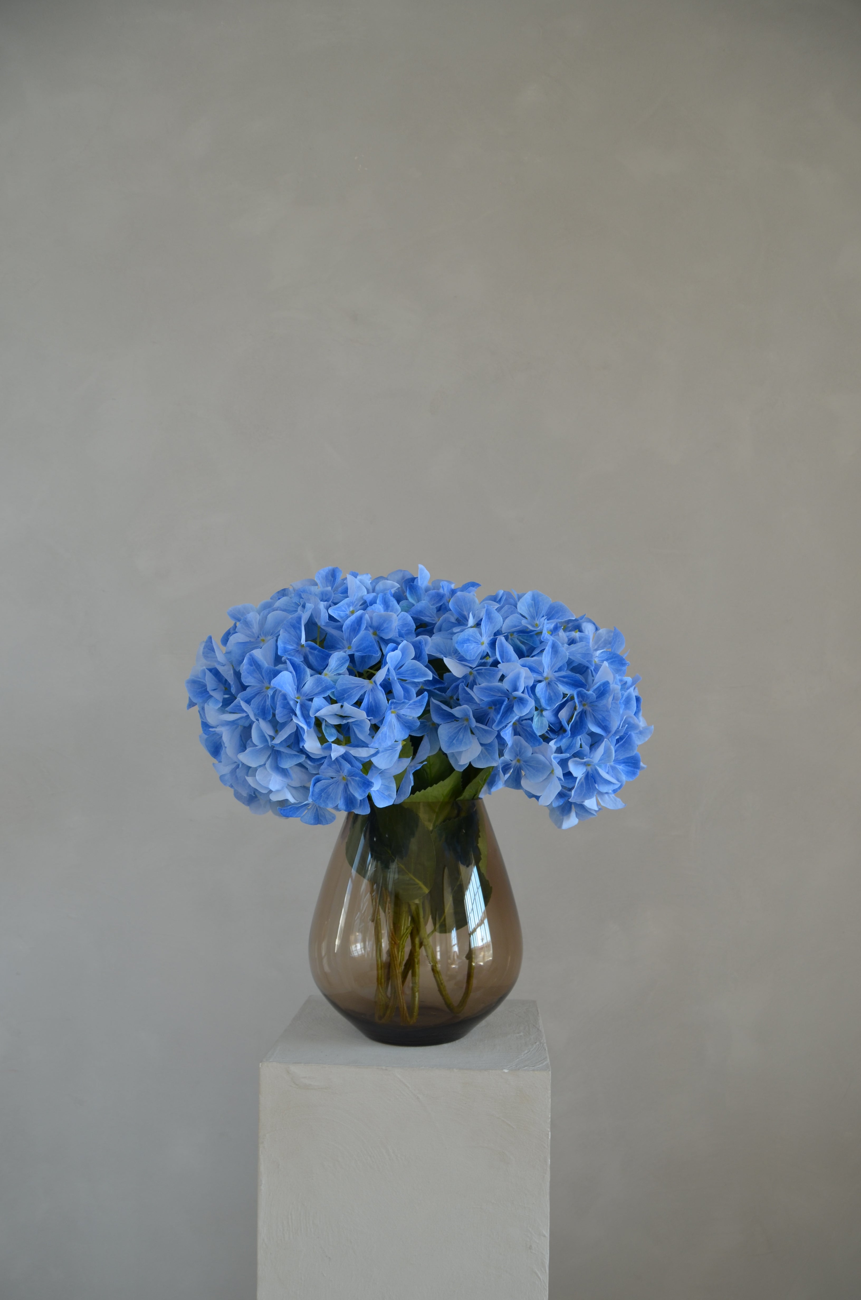 Retail Therapy - Hortensia blauw