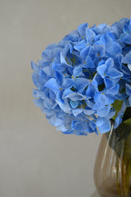 Retail Therapy - Hortensia blauw