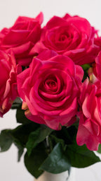 One and only (6 rozen)